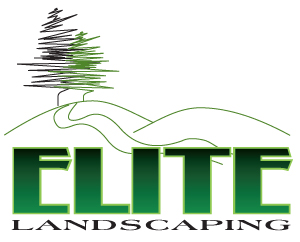 Elite Landscaping & Construction LLC